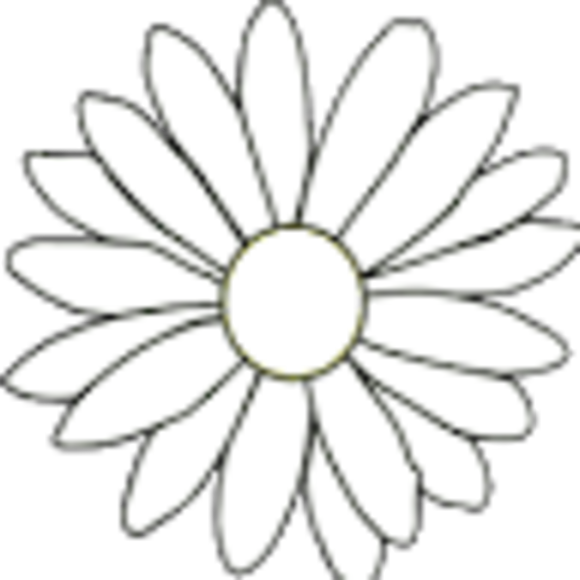 dianeboccara
